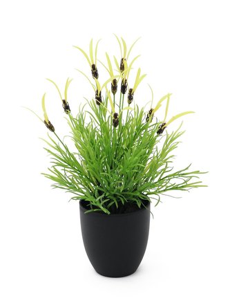 Květináč s bylinkami, 40 cm