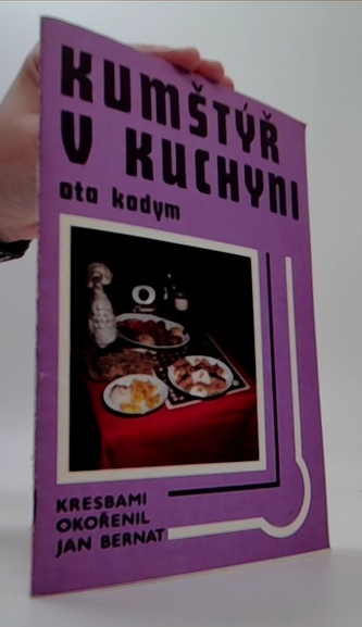 Kumštýř v kuchyni