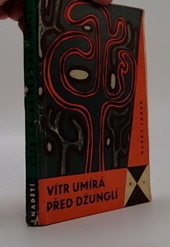 Vítr umírá před džunglí