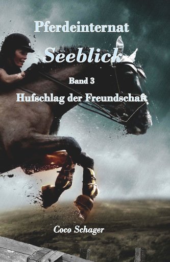 Pferdeinternat Seeblick Band 3 Pferdeinternat Seeblick Band 3
