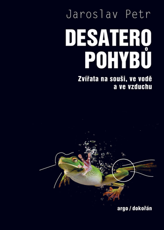Desatero pohybů