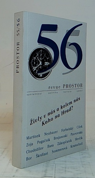 Revue Prostor 55/56