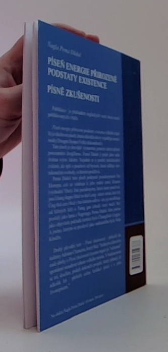 Píseň energie přirozené podstaty existence, písně zkušenosti