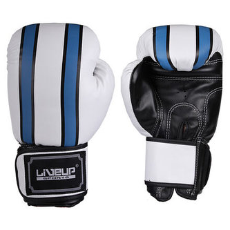 Boxing gloves zápasové boxovací rukavice bílá-modrá hmotnost 12 oz