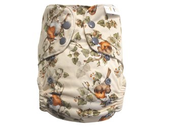 Ai2 BIO (M) - Pěnkava PAT