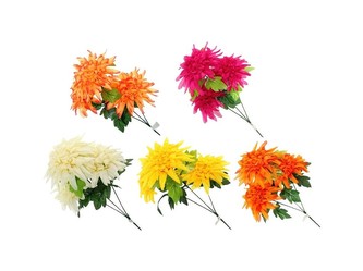 Chryzantéma 3 květy  mix barev