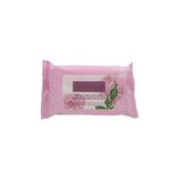 Biofresh Protect Antibakteriální ubrousky na ruce s benzalkonium chloride, s růžovou vodou a stříbrnou vodou 15 ks (bez etanolu)