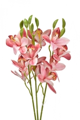 Umělá orchidej růžováá 39 cm, svazek 3 ks