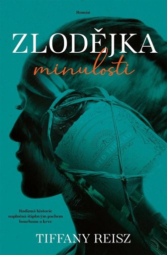 Zlodějka minulosti (Tiffany Reisz, 2024)