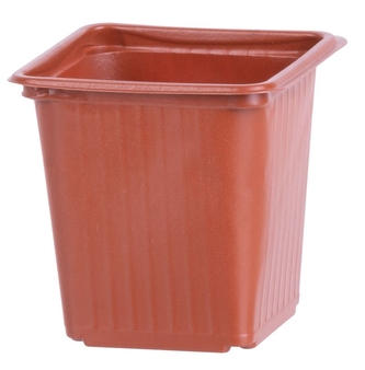 Sadbovač 8x8x8cm čtverec 10ks  STREND