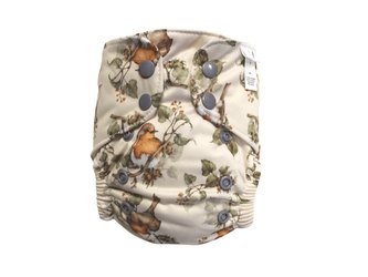 Ai2 BIO (S) - Pěnkava PAT