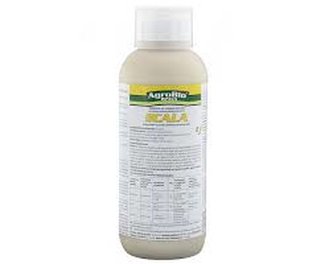 Scala 1l