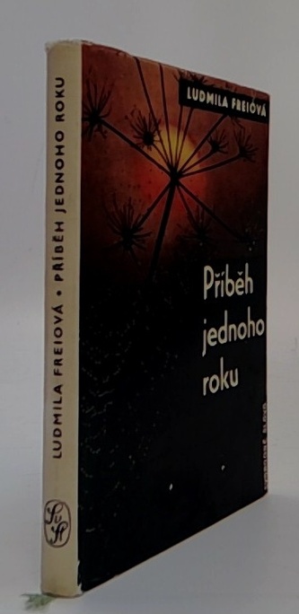 Příběh jednoho roku