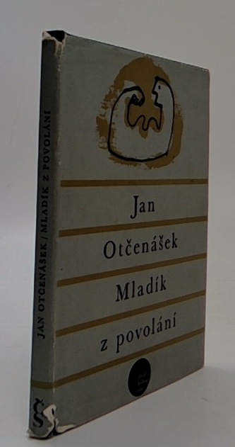 Mladík z povolání
