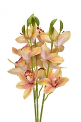 Umělá orchidej meruňková 39 cm, svazek 3 ks