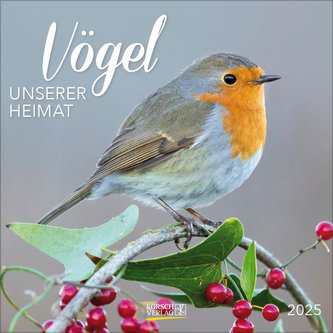 Vögel 2025