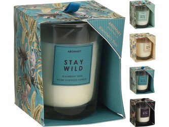 Svíčka ve skle 85x100mm v krabičce vonná mix Stay Wild, barevná