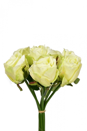 Svazek světle zelených růží 30 cm