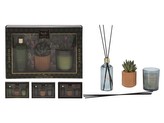 Sada dárková Sklo 1ks vonná svíčka 62x75mm + diffuser100ml + kaktus v cementovém květináči, mix