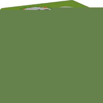 Ria Ultratenké vložky s hedvábím Ultra Normal Ultratenké vložky s hedvábím Ultra Normal - Varianta 11 ks woman