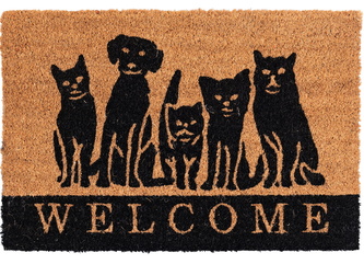 Rohožka z přírodního kokosového vlákna WELCOME FRIENDS 40x60 cm Mybesthome