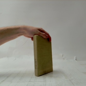 Divá Bára a jiné prozy