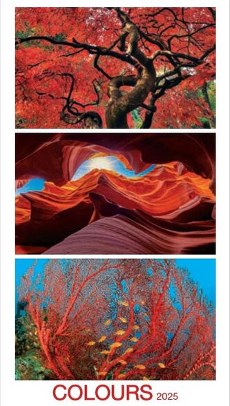 Colours 2025 - nástěnný kalendář