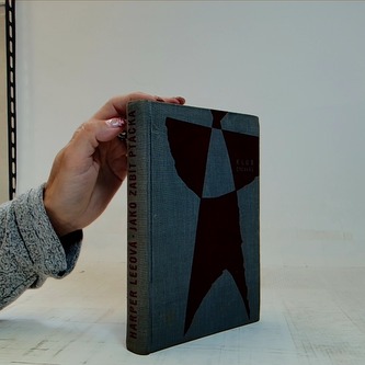 Jako zabít ptáčka