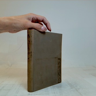 Svatba v Absint baru - Humoristický román