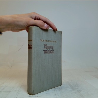 Narrenweisheit oder Tod und Verklärung des Jean-Jacques Rousseau