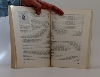 nemoci a škůdci včely