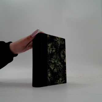 Dobrodružství. Román z jižních moří.