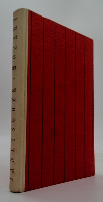 Mozart román ze života