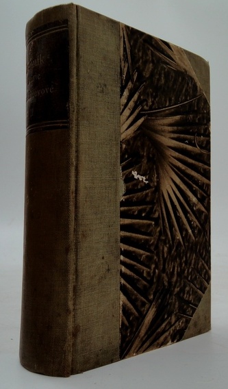 Denník Marie Baškircevové II díl