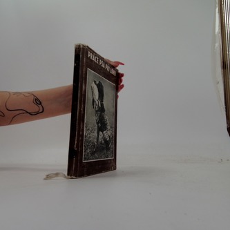 Práce psa při lovu