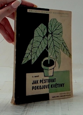 Jak pěstovat pokojové květiny