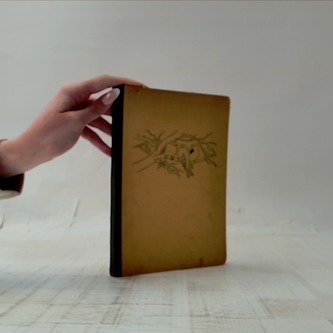 Příhody vrabce Čim-Čima