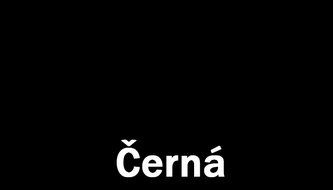 Dulux Rapidry Aqua 0,75l Černá