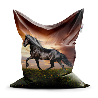 Sedací vak Friský kůň: 150x100 cm