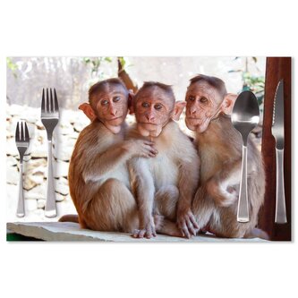 Prostírání Opičky: 40x30cm