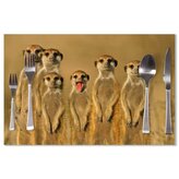 Prostírání Surikaty: 40x30cm