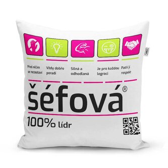 Polštář Šéfová: 40x40 cm