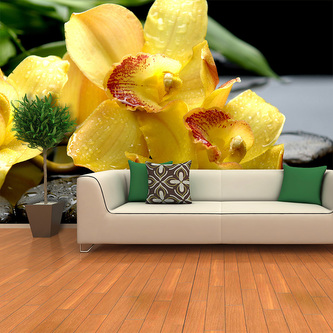 Tapeta Žluté orchideje: 208x125 cm