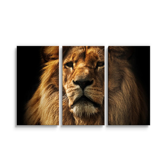 Obraz - 3-dílný Lev: 120x80 cm