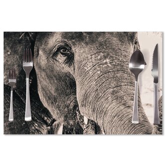 Prostírání Slon: 40x30cm