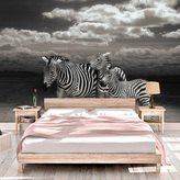 Tapeta Zebry: 208x125 cm