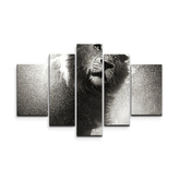 Obraz - 5-dílný Mokrý lev: 125x90 cm