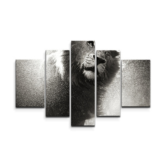 Obraz - 5-dílný Mokrý lev: 125x90 cm