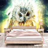 Tapeta Sova: 208x125 cm