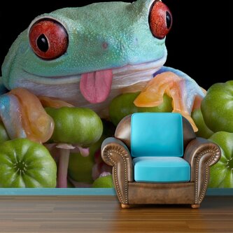 Tapeta Veselá žába: 336x220 cm